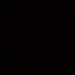 Meet your Posher, Genny